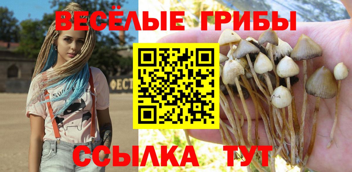 Галлюциногенные грибы Psilocybine cubensis Кимовск