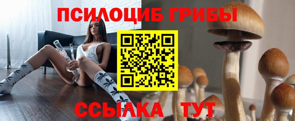 Кимовск  Галлюциногенные грибы мицелий  Вход с VPN 